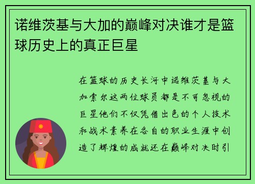 诺维茨基与大加的巅峰对决谁才是篮球历史上的真正巨星