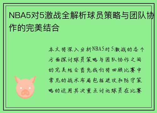 NBA5对5激战全解析球员策略与团队协作的完美结合